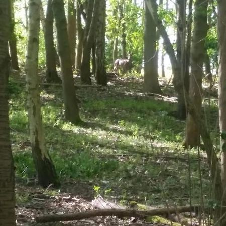 Westhurst Park Bnb Bredon Esterno foto