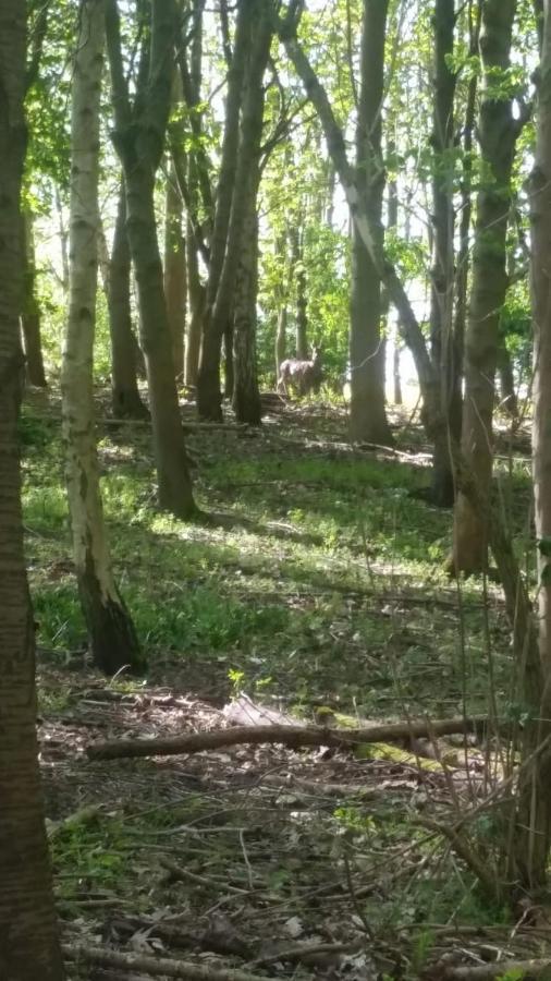 Westhurst Park Bnb Bredon Esterno foto